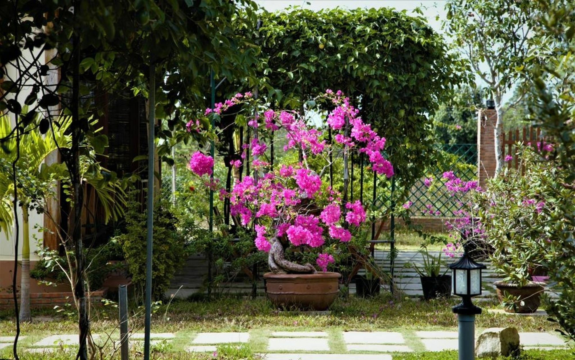 Spring Garden Homestay Phu Quoc Exteriör bild