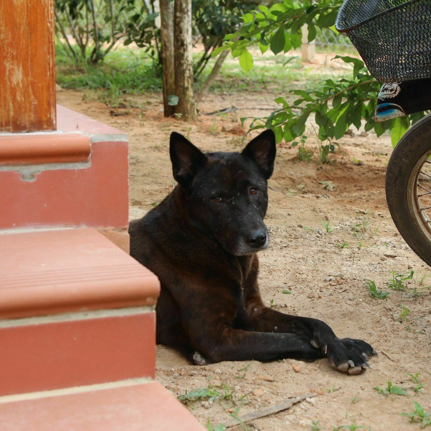 Spring Garden Homestay Phu Quoc Exteriör bild