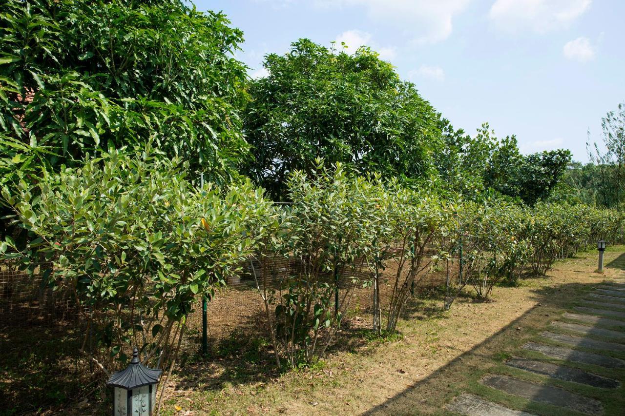 Spring Garden Homestay Phu Quoc Exteriör bild