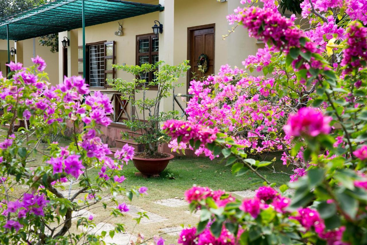 Spring Garden Homestay Phu Quoc Exteriör bild
